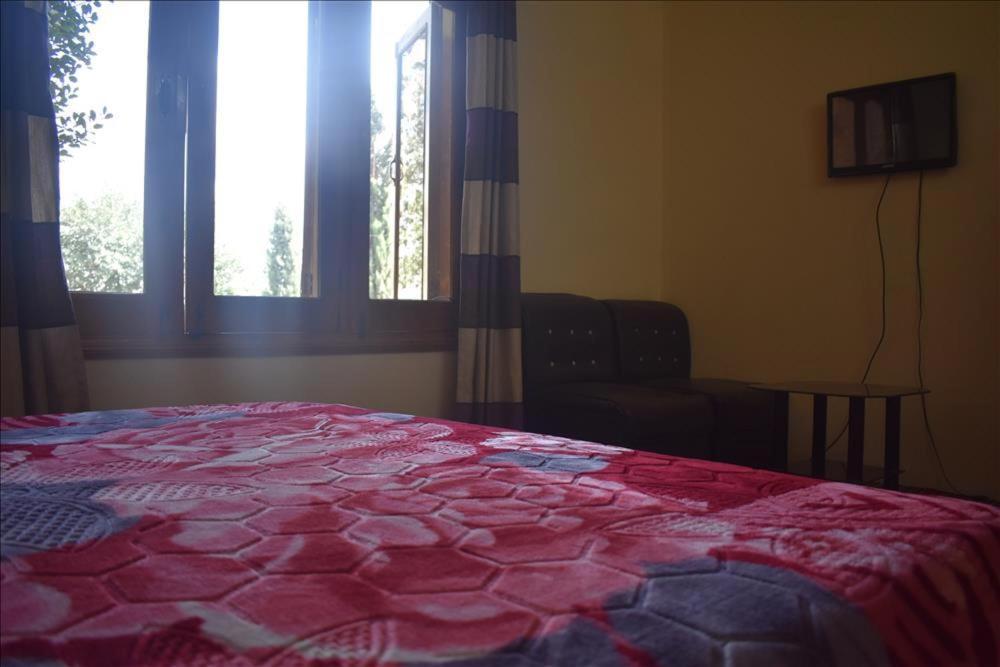 Cozy Lodge Гілгіт Екстер'єр фото